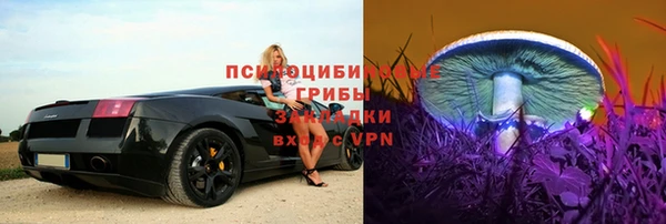 стаф Абдулино