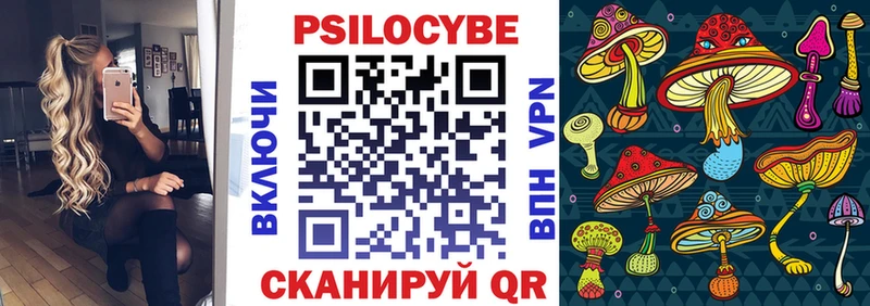 Псилоцибиновые грибы GOLDEN TEACHER  цены   Цоци-Юрт 